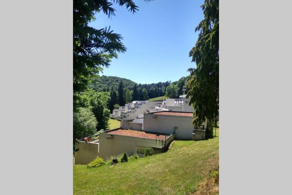 Studio Au Coeur Des Volcans D Auvergne - Murol Exterior foto